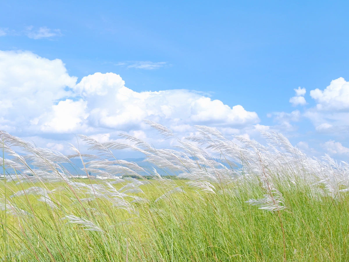 1632291242187160.jpg (小圖)鄉(xiāng)愁(1).jpg