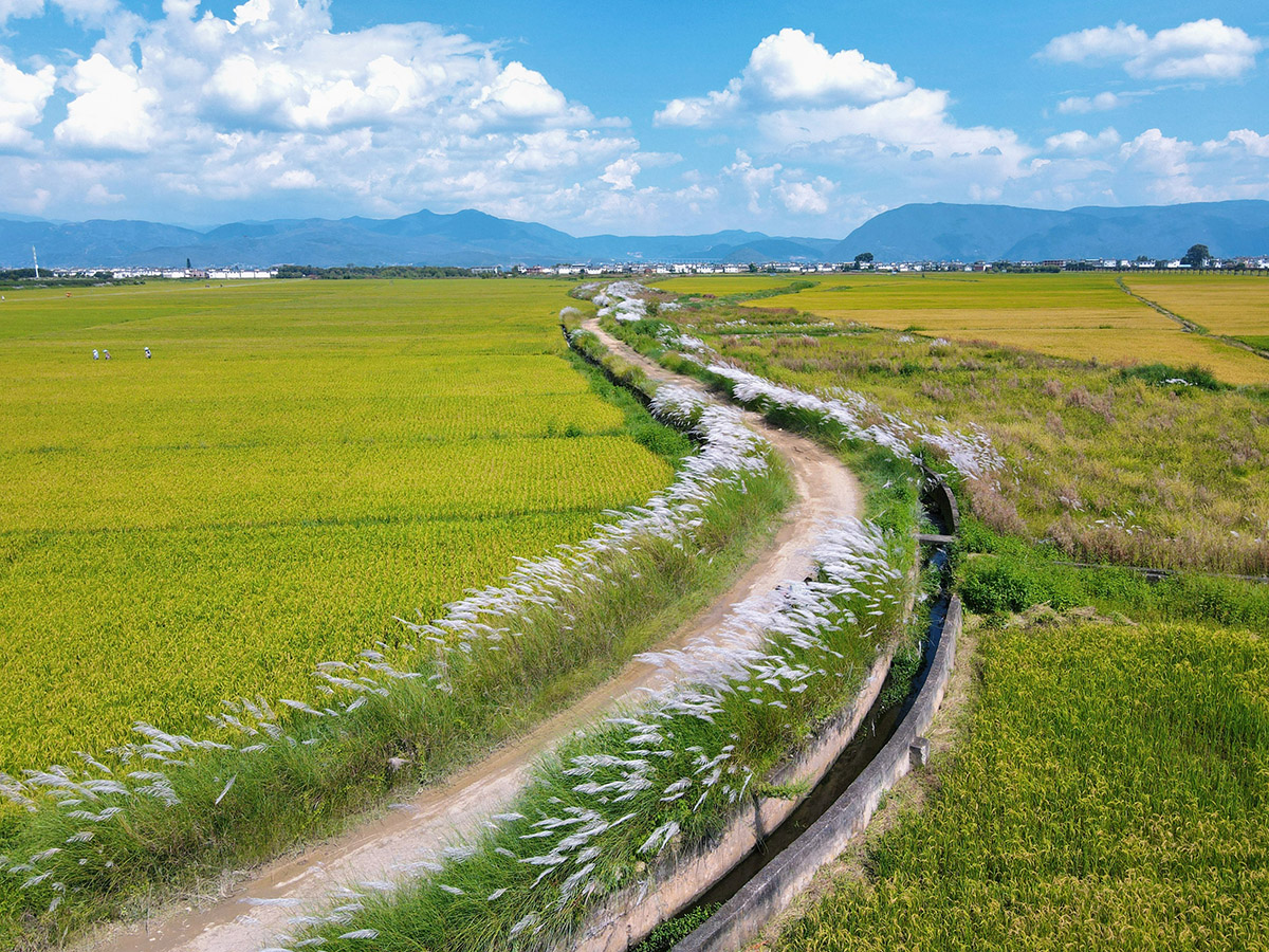 1632291399813797.jpg (小圖)鄉(xiāng)愁(2).jpg