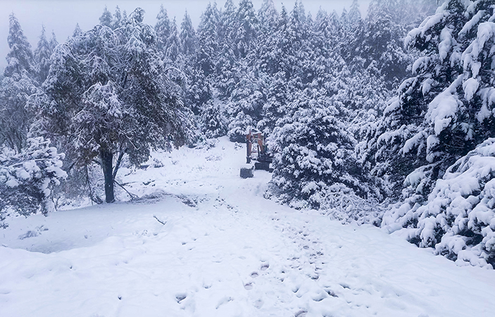 1732668933491268.jpg 小圖2.jpg